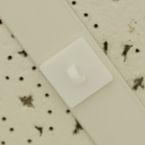 Ceiling Loop with Adhesive